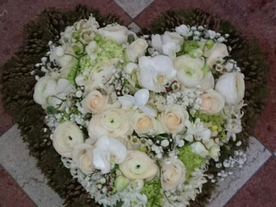 IMG-20160315-WA0019.jpg