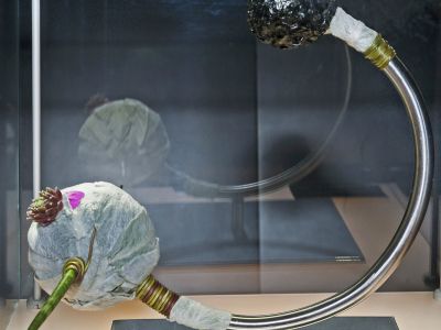 Die_Fotografen_Florales-Schmuckstu¦Ick (1).jpg